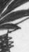 steve_guitar3x5.jpg